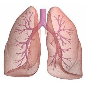 Ayurvedic treatment for Bronchial Asthma